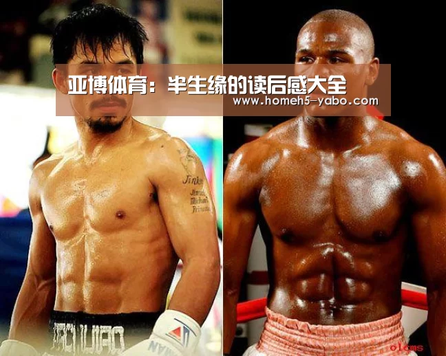 亚博体育:半生缘的读后感大全(图1) 亚博体育