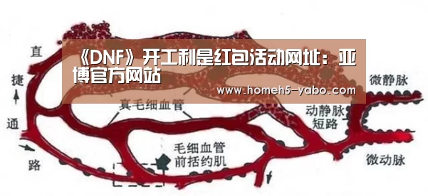 《DNF》开工利是红包活动网址:亚博官方网站(图3) 亚博体育
